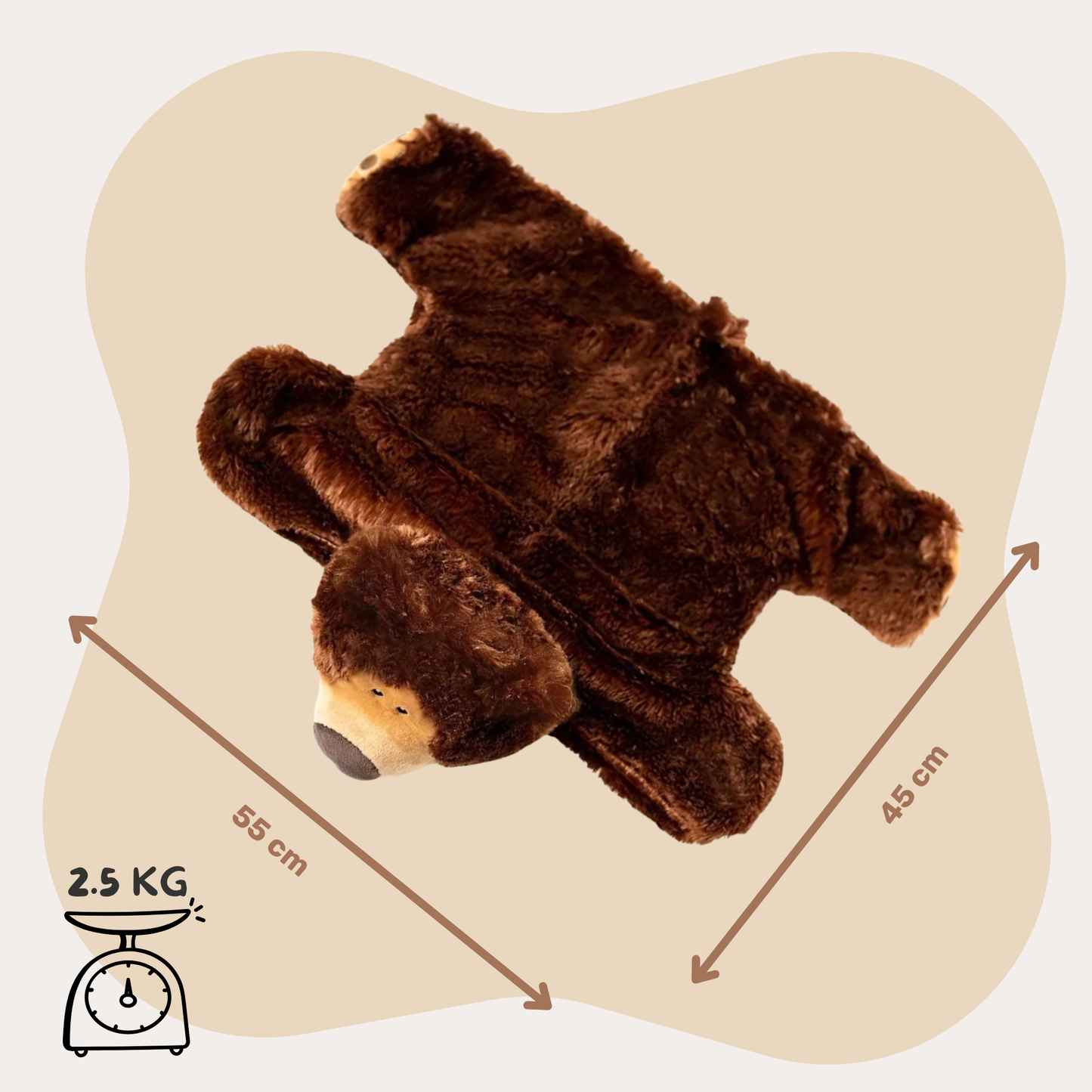 Bruno the Bear 2.5kg