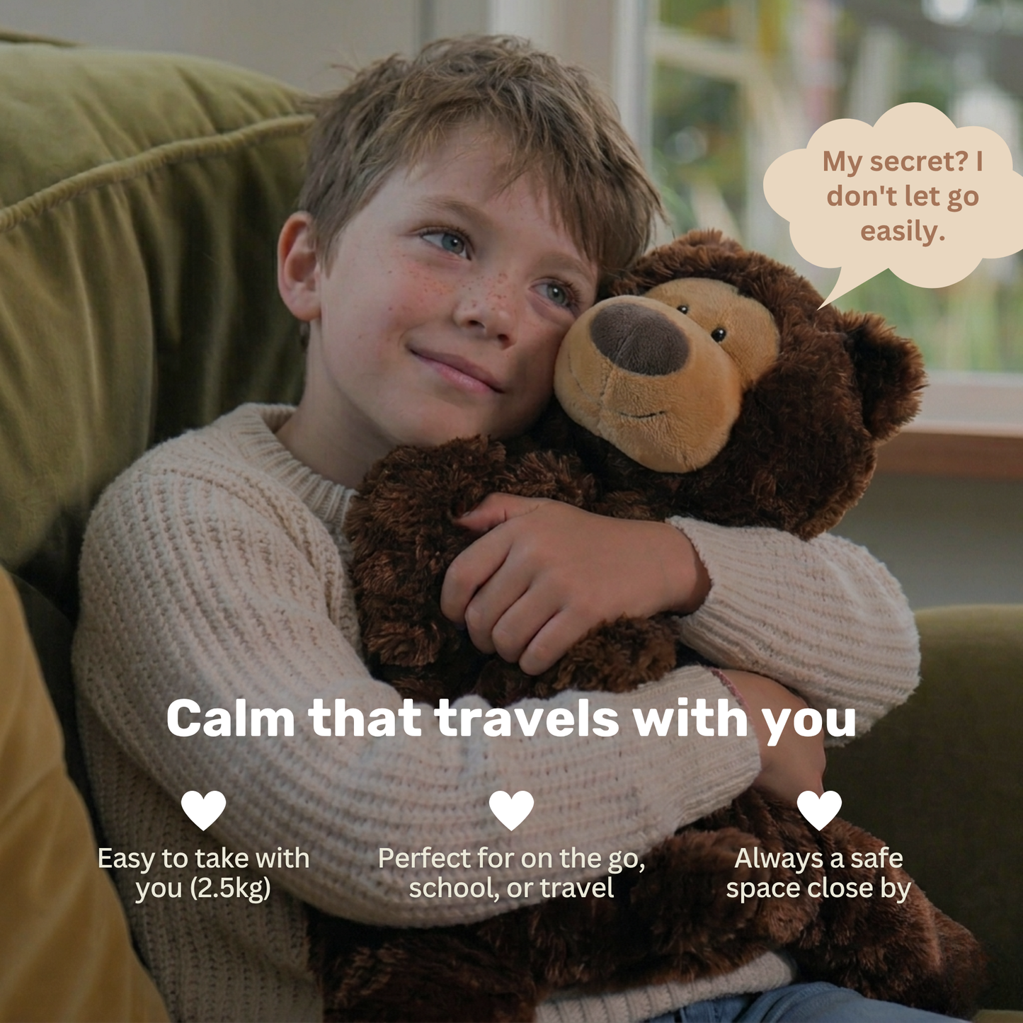 Bruno the Bear 2.5kg