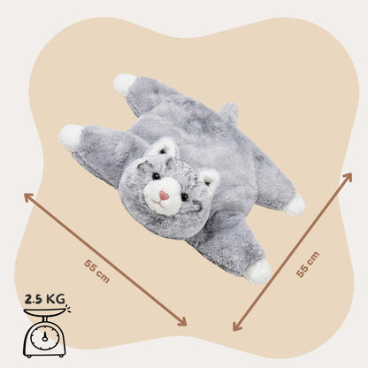 Coco the Cat 2.5kg